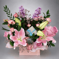 Pink Lily & Lavender Stock Blush Box with Gift