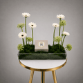 White Gerbera Acrylic Tray Arrangement