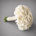 Cloud Carnation Bridal Bouquet
