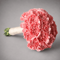 Blushing Carnation Cloud