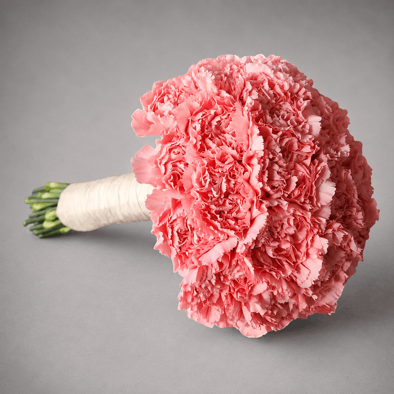 Blushing Carnation Cloud