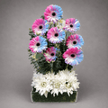 Daisy Tower