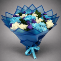 Blue Daisy Dream