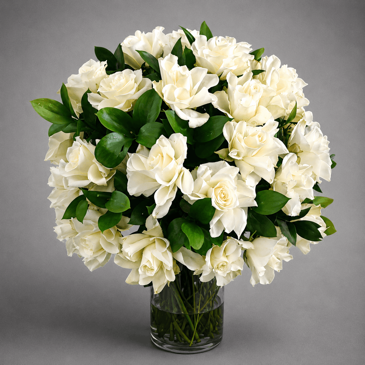 White Roses Dream