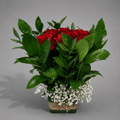 Rustic Charm Rose Arrangement