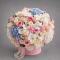 Pastel Blue & Pink Orchid Flower Hatbox