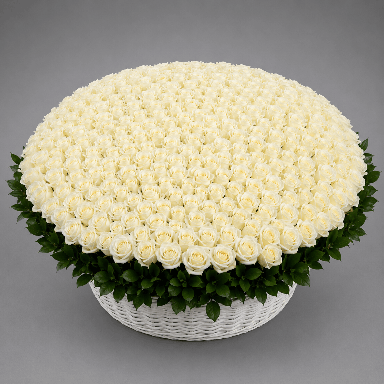 Grand White Rose Dome in Woven Basket