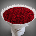 Luxury Red Rose Arrangement