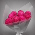 Hot Pink Chrysanthemum Bouquet