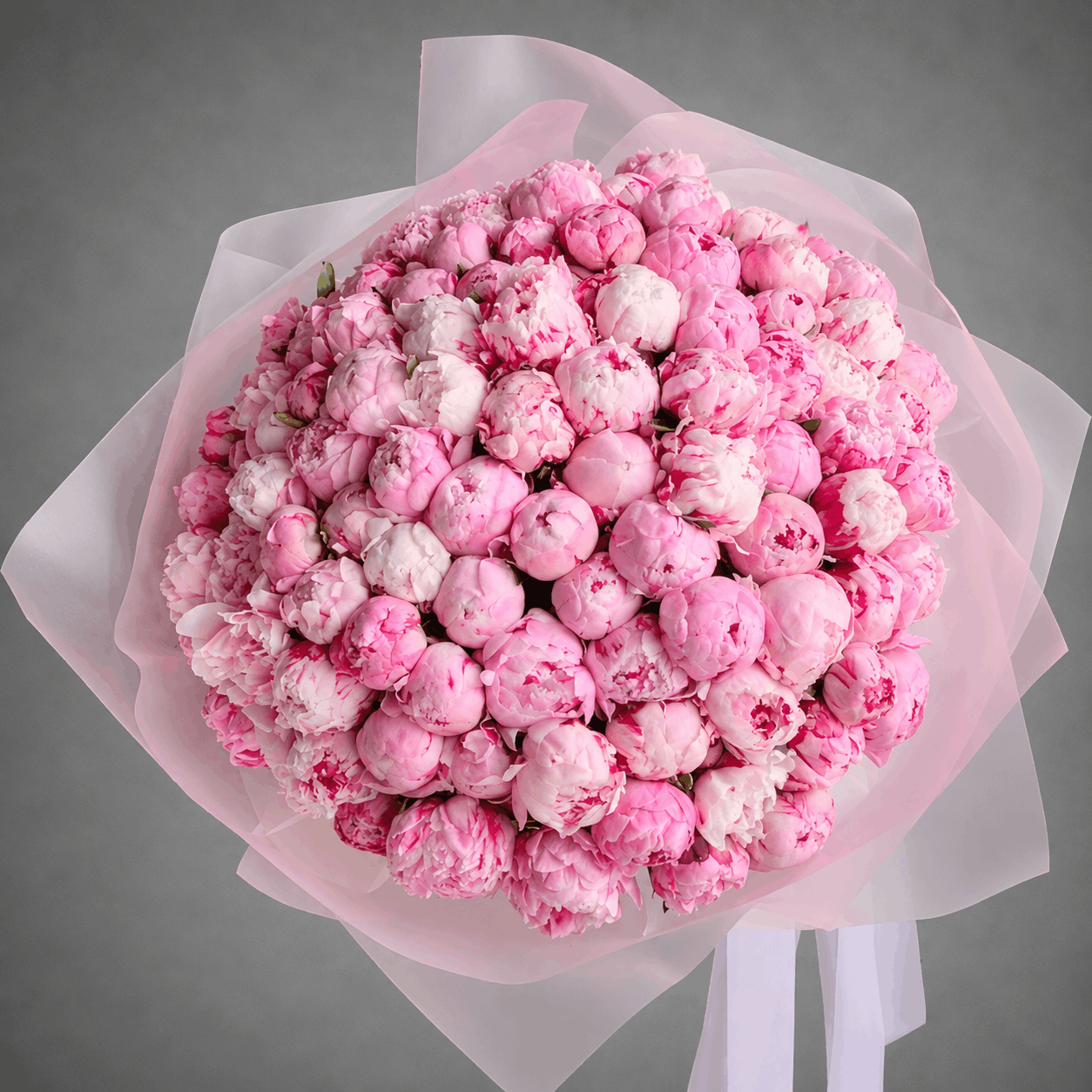 100 Pink Peonies Bouquet – Frosted White Wrap