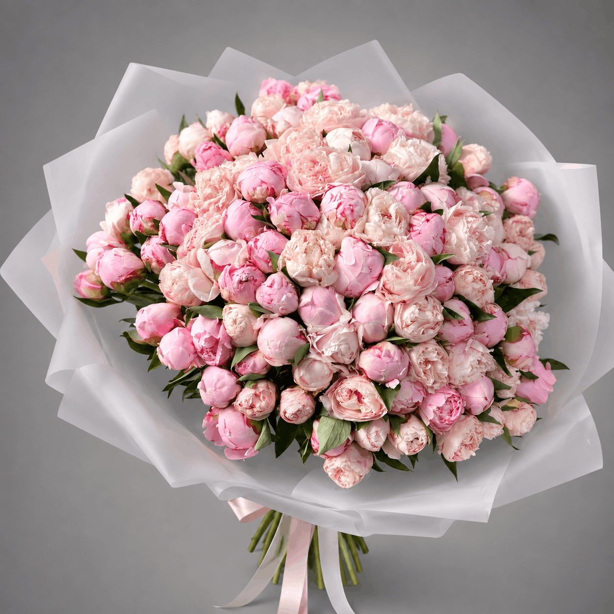 51 Blush Pink Peonies Bouquet – Frosted White Wrap