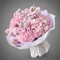 Pink Hydrangea & Stock Flower Bouquet – White Wrap