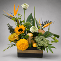 Tropical Luxe Black & Gold Box Arrangement