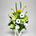 Green Anthurium & Protea Modern Bowl Arrangement