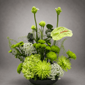 All Green Sculptural Black Bowl Arrangement