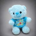 Happy Birthday Blue Teddy Bear Plush Toy