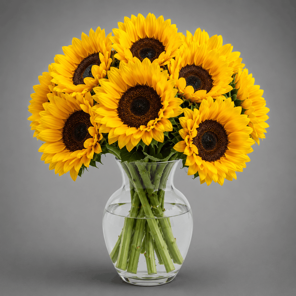 Pure Sunflower Celebration Vase