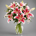 Pink & White Lily Vase Arrangement