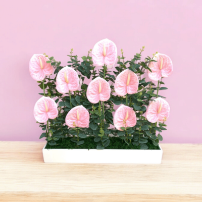Pink Modernity