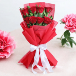 Scarlet Heart