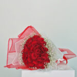 Crimson Romance