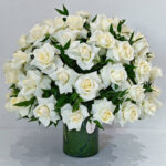 White Elegance