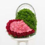 Rose Cascade