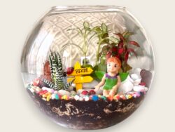 Minature fairy garden terrarium