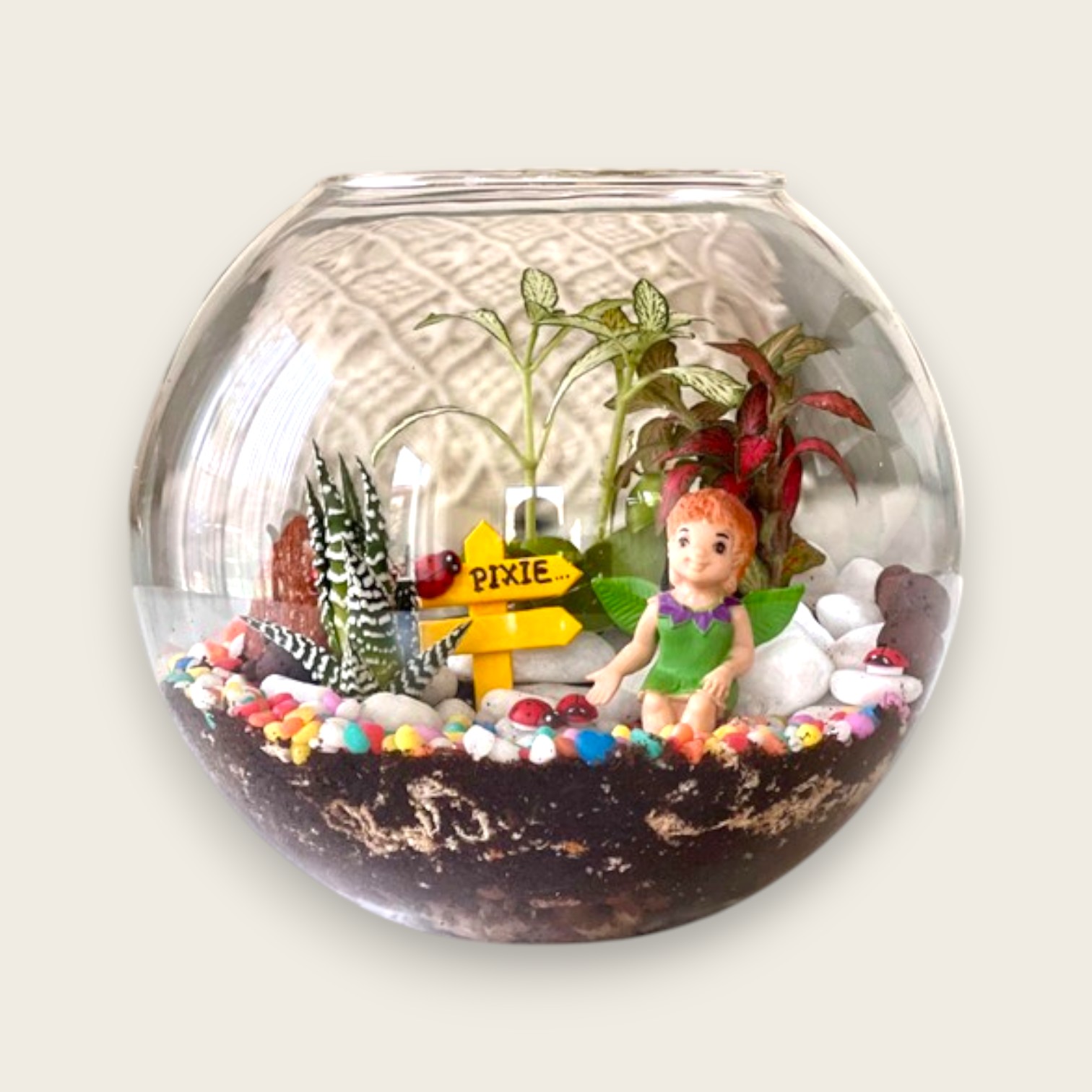 Minature fairy garden terrarium