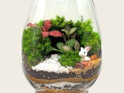 Minature forest terrarium