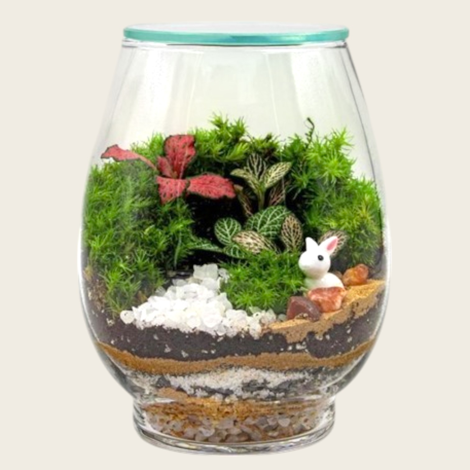 Minature forest terrarium