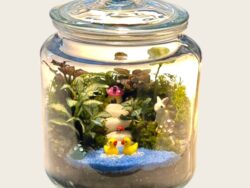Lake and forest themed terrarium
