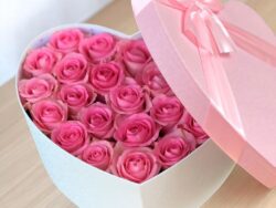 Heartfelt Roses