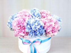 Pastel Hydrangea Dream Box
