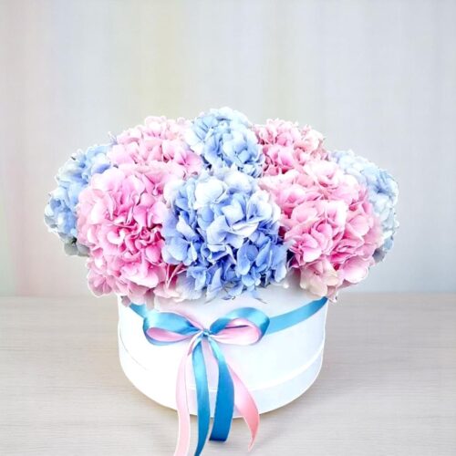 Pastel Hydrangea Dream Box