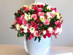 Garden Melody Bloom Box