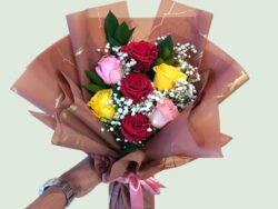 Rainbow Rose Delight