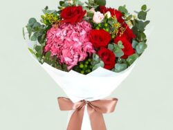 Crimson Hydrangea Harmony