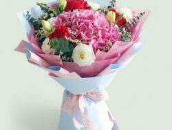 Blush Pink Hydrangea & Carnation Bouquet