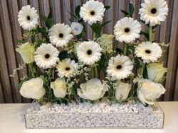 White Radiance: Gerberas & Roses in Glass