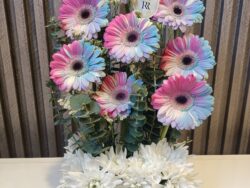 Rainbow Gerbera: Cheerful & Bright