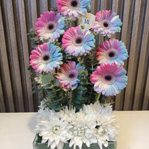 Rainbow Gerbera: Cheerful & Bright