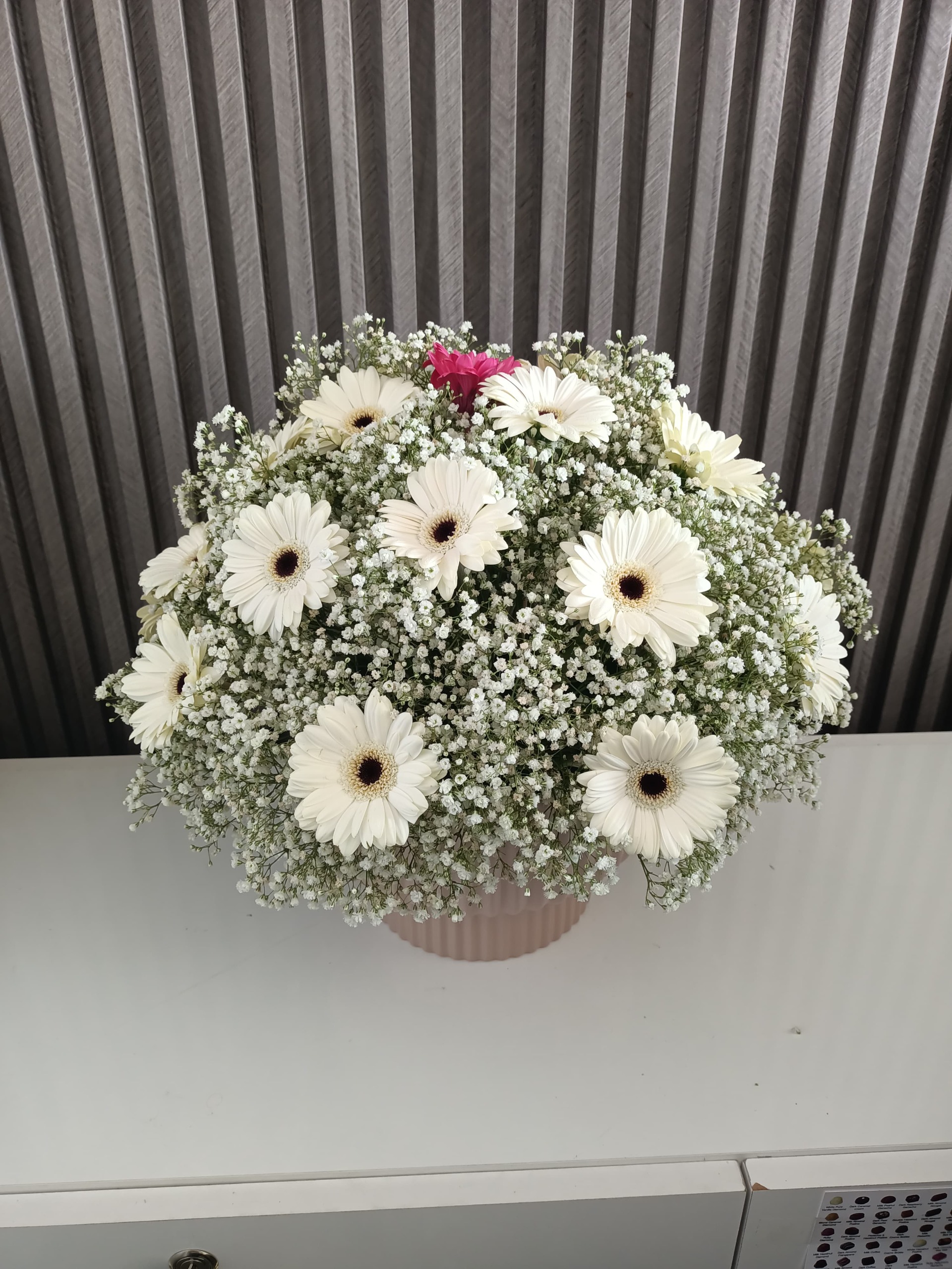 Gentle Whites: Gerberas & Gypsophila