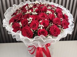 Crimson Kiss: Red Roses & Baby's Breath