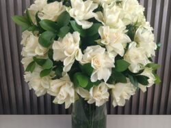 Gardenia Grandeur: White Blooms in Glass