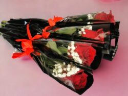 Single Red Rose 8 Pcs