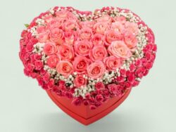 Te Amo Heart: Roses in a Box