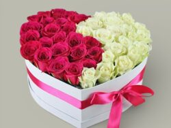 Two Souls, One Heart