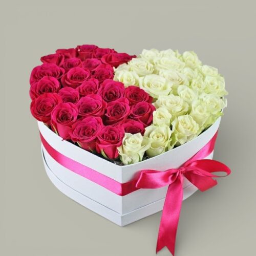 Two Souls, One Heart