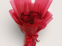 Forever Scarlet Embrace